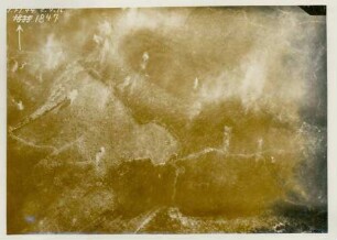 Foto des südöstlichen Teils des Waldes bei Thiaumont (Luftbild)
