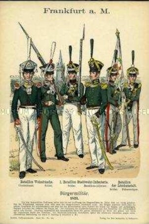 Uniformdarstellung, Oberst, Gemeine, Bataillons-Adjutant und Fahnenträger verschiedener Bataillone des Bürgermilitärs, Freie Stadt Frankfurt am Main, 1823.