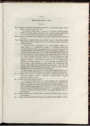 Spiegazione Delle Tavole