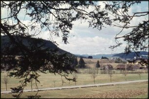 Blick auf den Feldberg