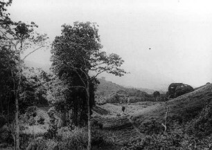 West-Usambara-Landschaft bei Wilhelmstal