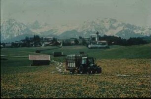 Fotografie: Erntetechnik, Ladewagen, Tandemachsanhänger, Transportgerät