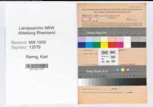 Entnazifizierung Karl Remig, geb. 12.06.1912 (Steuerberater)