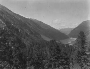 Talblick : Blick über den bewaldeten Hang ins Tal.