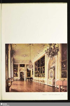 Mosigkau · Schloß, Gemäldegalerie