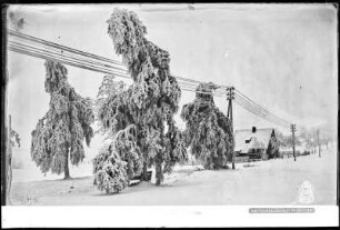 Schellerhau im Erzgebirge mit Schnee