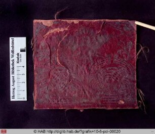 Genealogie (Eltern und Großeltern) von Susanna, Tochter von Otto Heinrich Pfalzgraf bei Rhein und Dorothea Maria, geborne Hertzogin zu Würtemberg.