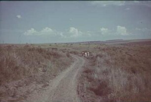 Zweiter Weltkrieg. Zur Einquartierung (wahrscheinlich in der Ukraine). Unbefestigte Landstraße mit einer Gruppe von Bäuerinnen
