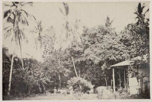 Hain in Honda [Kolumbien. 1868 : Honda]
