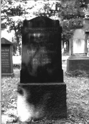 Grabstein 337 [Hahn S. 114 Grab-Nr. 259]
