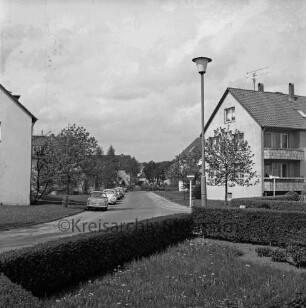 Meisenweg: vorn Grünanlage mit Hecke: rechts Baum, Straßenlampe und Verkehrsschilder: in der Mitte parkende Pkws: rechts, links und hinten Wohnblocks
