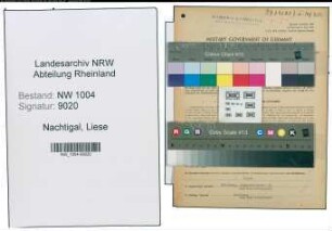 Entnazifizierung Liese Nachtigal , geb. 08.06.1921 (Stenotypistin)