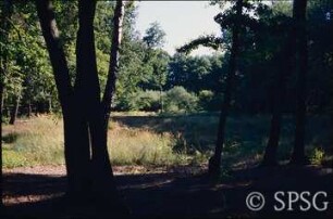 Potsdam, Park Sacrow, Senke bei der Thusnelda-Statue vor den Auskofferungsarbeiten.