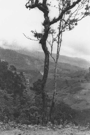 Bei Tequendama (Lateinamerika-Aufenthalte 1934/1942 - 2. Kolumbien 1934-1937)