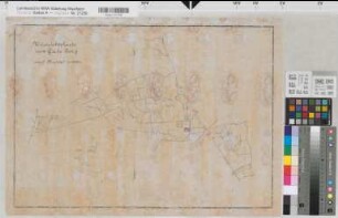 Haus Borg (Drensteinfurt) Übersichtskarte um 1900 1 : 10 000 41 x 58,5 Zeichnung Kerckerinck-Borg, Dep.
