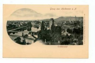 "Totalansicht" - Gesamtansicht, Blick vom Rosenberg auf Badstraße, Neckar, Eiserner Steg, Götzenturm, südwestliche Innenstadt