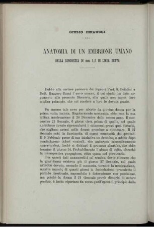 Anatomia Di Un Embrione Umano Della Lunghezza Di mm. 2,6 In Linea retta