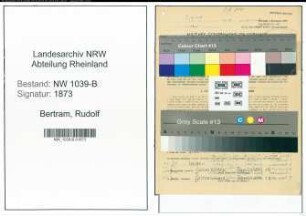 Entnazifizierung Rudolf Bertram , geb. 08.05.1893 (Arzt)