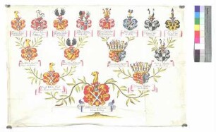 Öttingen-Hohenbaldern, Grafen zu (Ahnentafel)