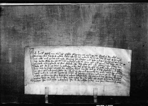 Bruder Eglolf von Gomaringen, Eglolfs sel. Sohn, Augustiner in Tübingen, verkauft an Fritz von Gomaringen des Wilden sel. Sohn 1 lb. h. Gült zu Gomaringen um 16 lb. h.