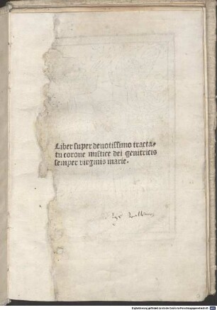 Corona mystica beatae Mariae virginis