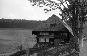 Muggenbrunn: Schwarzwaldhaus in Muggenbrunn; seitlich; rechts Baum