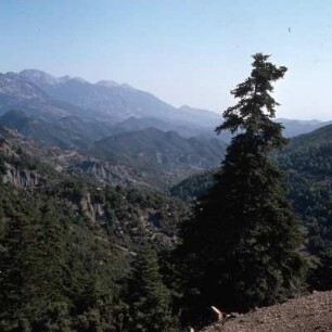 Im Panaitolikón-Gebirge bei Agrinion