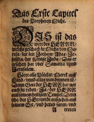Ein christliche tröstliche unnd sehr nützliche Außlegung über den Propheten Micham