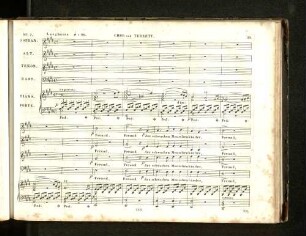 N° 7. Chor und Terzett.
