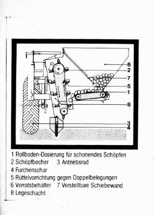 Schemazeichnung: Kartoffel, Kartoffellegemaschine