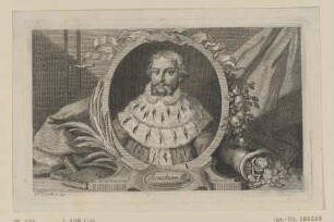 Bildnis des Joachim II.