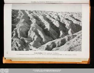 Djebel Bodhia