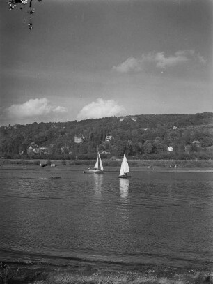 Dresden. Segelboote auf der Elbe zwischen Blasewitz und Pillnitz