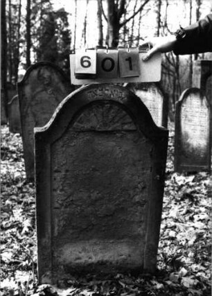 Grabstein 601 (Index: 99753110) Material: Sandstein Zustand: abgeblätt/verwitt. m. fast völl. Textverl. Maße HxBxT: 90x54x8 cm Beschreibung: Stele, Konvexbogenabschluß, Schriftfeld eingetieft Symbolik: Fächer: Grabstein 601