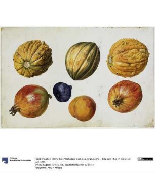 Früchtestudien: Kürbisse, Granatapfel, Feige und Pfirsich