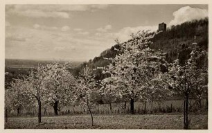 Postkartenalbum mit Motiven von Durlach. "Durlach, Turmberg"