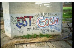 LOST GOSH
