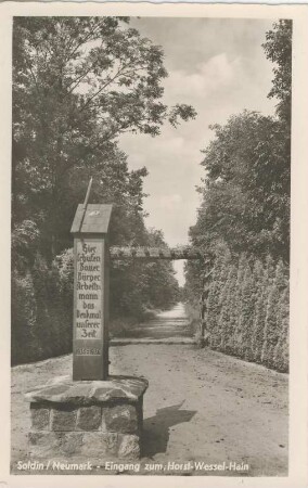 Postkarte, Soldin (Neumark)