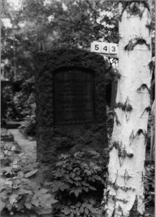 Grabstein 543