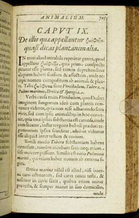 Caput IX. De illis quæ appelantur [...]