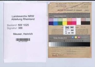 Entnazifizierung Heinrich Meuser , geb. 05.06.1908 (Kaufmann)