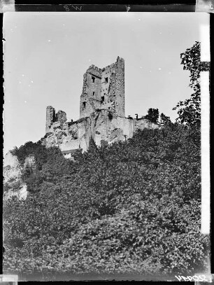 Rhein, Ruine Drachenfels