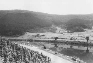 Mosel unterhalb Mehring