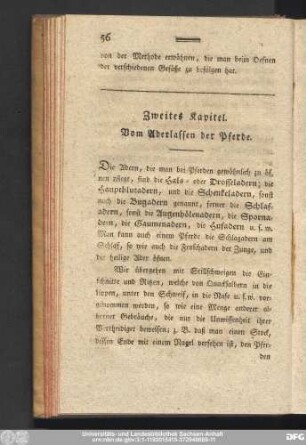 Zweites Kapitel. Vom Aderlassen der Pferde.