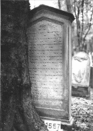 Grabstein 1557