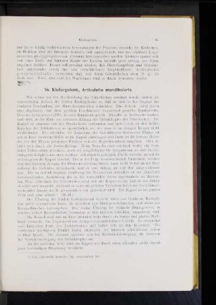 16. Kiefergelenk, Articulatio mandibularis.