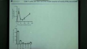 The CD8 T cell ecosystem