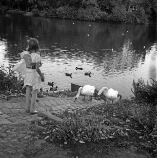 Neuhöfer Teich: Ufer, gepflasterte Rinne: zwei Mädchen beim Füttern der Wasservögel: zwei Schwäne watscheln an Land: Enten: hinten gegenüberliegendes Ufer
