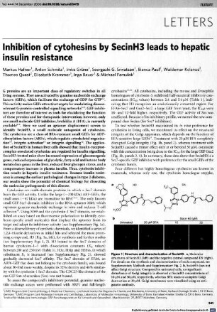 Inhibition of cytohesins by SecinH3 leads to hepatic insulin resistance