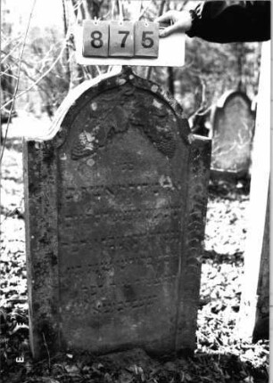 Grabstein 875 (Index: 99751208) Material: Sandstein Zustand: leicht verwittert Maße HxBxT: 120x64x12 cm Beschreibung: Stele, eingezogener Kilebogenabschluß Symbolik: Trauben mit Blättern: Grabstein 875